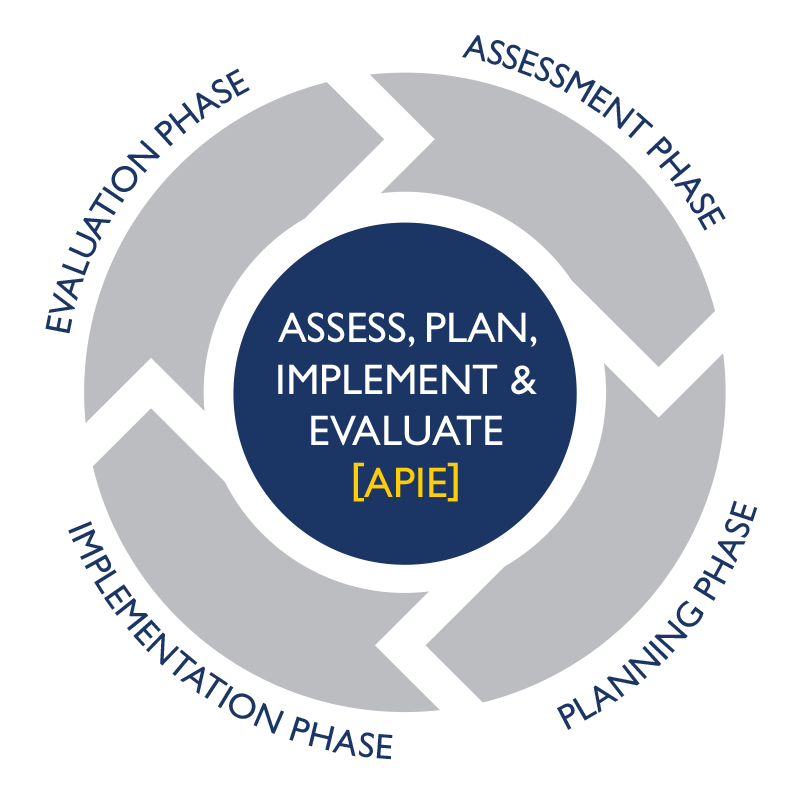 Assess, Plan, Implement & Evaluate APIE